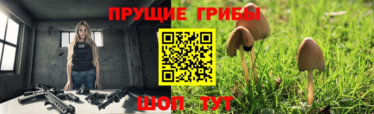купить   Псилоцибиновые грибы мухоморы  Вход с VPN  Лыткарино 